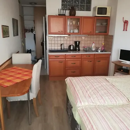 Apartmán Terrace Center Praha