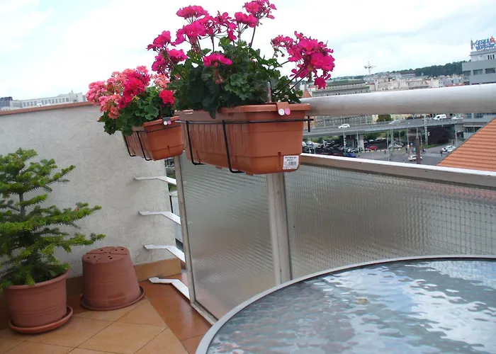 Terrace Center *